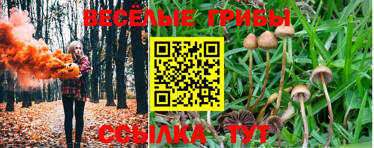 Усть-Илимск  Псилоцибиновые грибы Psilocybine cubensis  Псилоцибиновые грибы Cubensis  Вход с VPN 
