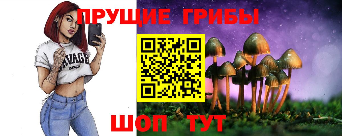 Галлюциногенные грибы Psilocybe Усть-Илимск